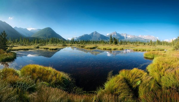 Quels sont les meilleurs spots pour faire de la plongée avec tuba dans les îles de la Thaïlande : conseils et périodes ?