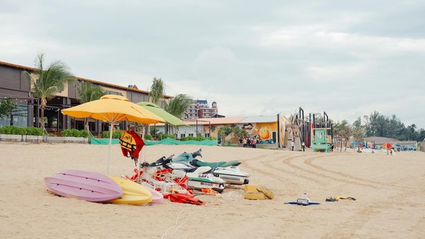 Quelles croisières offrent des excursions pour découvrir les plages de sable noir en Islande?